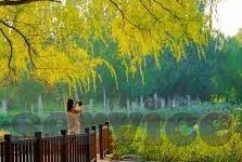足球足球彩票比分直播-足球盛宴中的数字狂欢，足球彩票、比分直播与球迷的激情碰撞